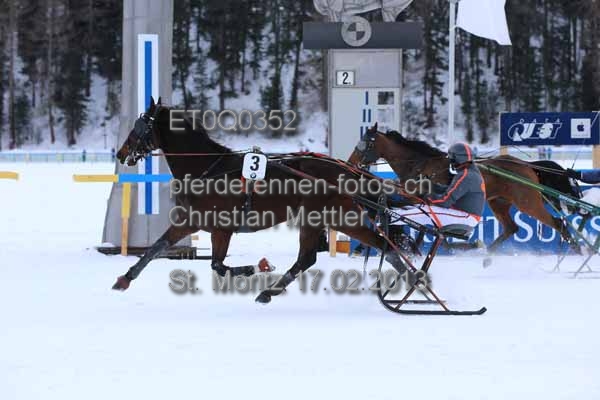 ET0Q0352 prot